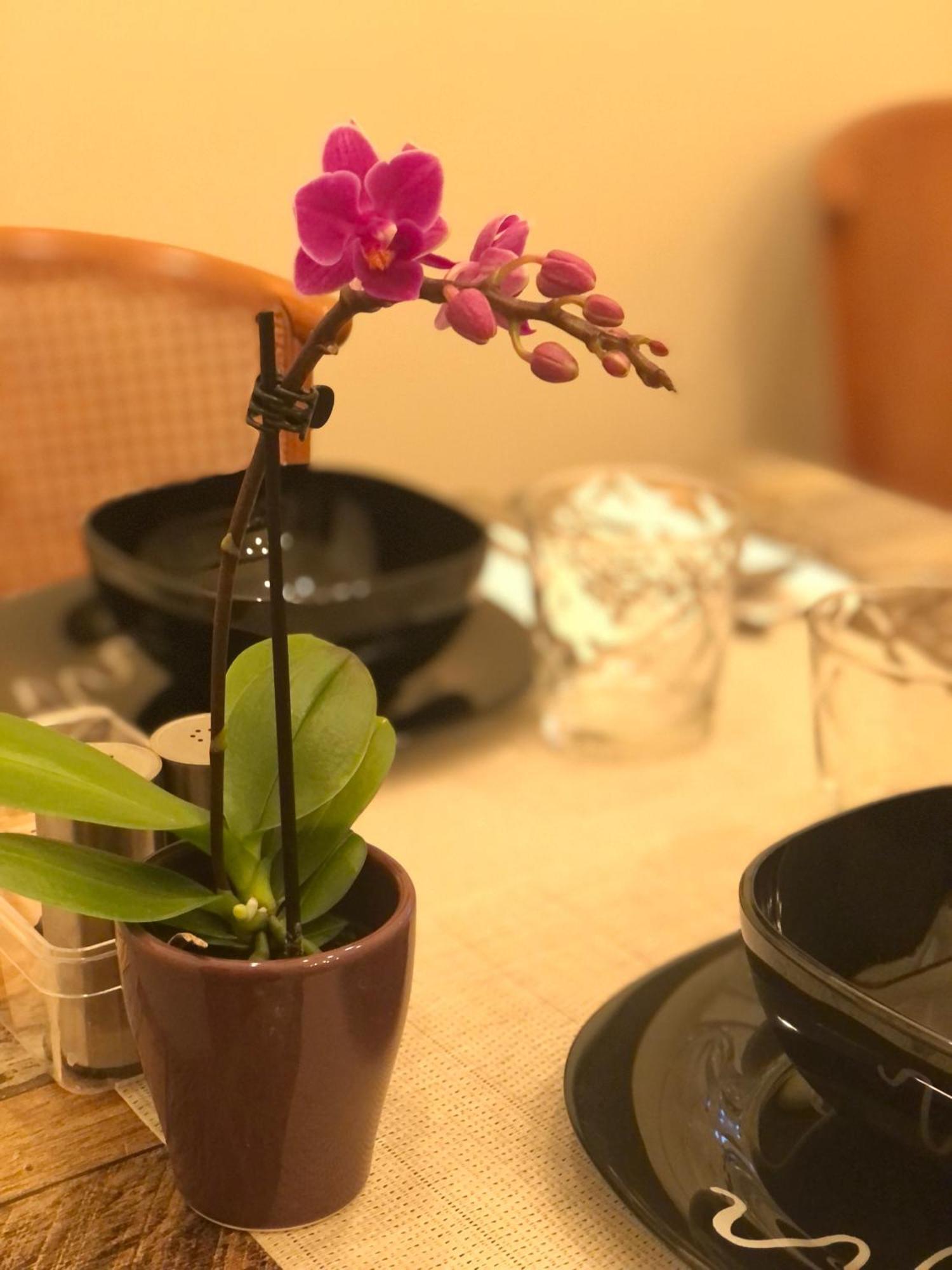 Serenity B&B 布雷西亚 外观 照片